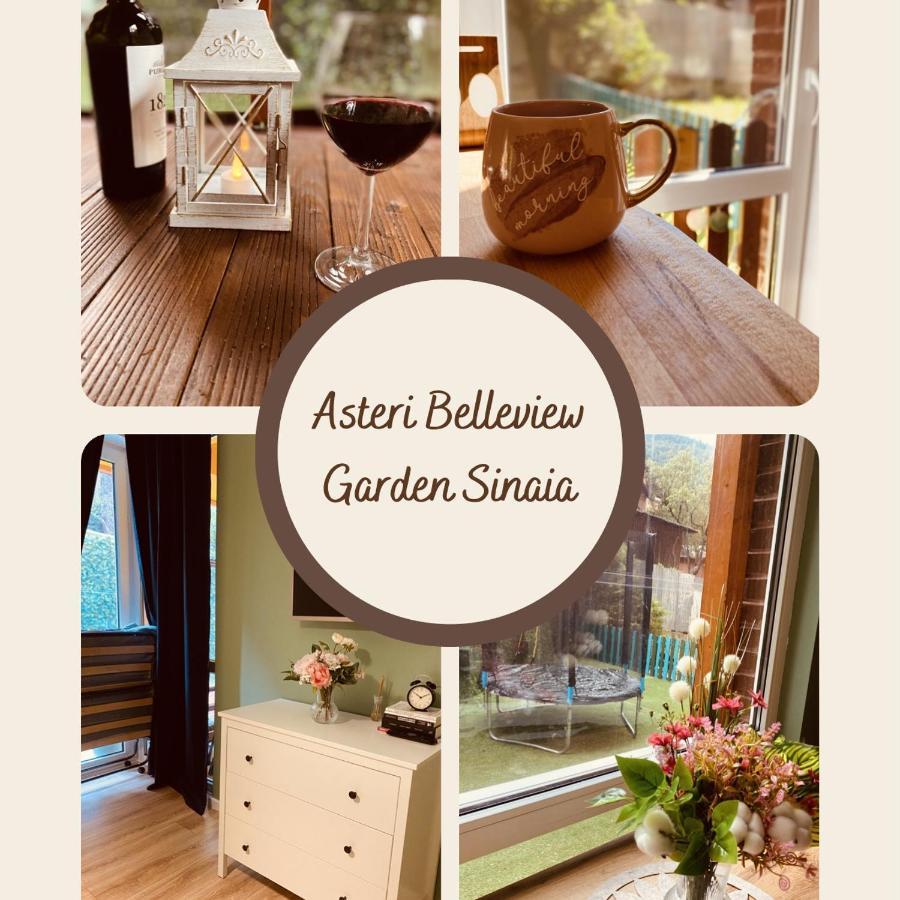 Asteri Garden & Terrace Apartment Sinaia Luaran gambar